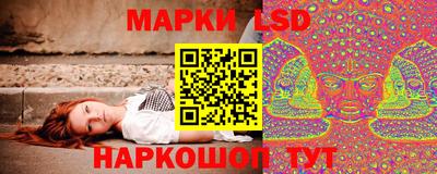 стафф Новокубанск
