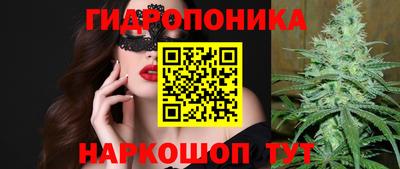 стафф Новокубанск