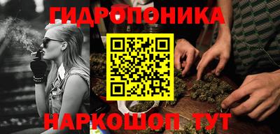 PSILOCYBIN Новодвинск
