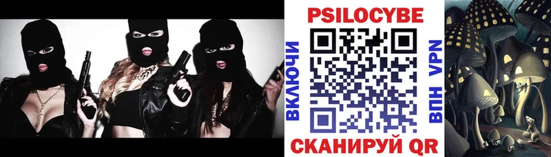 как найти закладки  Сальск  Псилоцибиновые грибы мицелий 