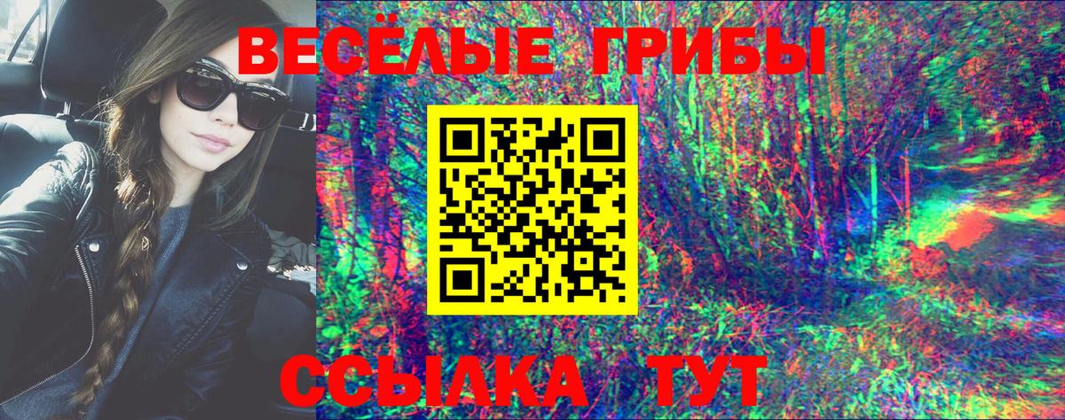 Сальск  Галлюциногенные грибы прущие грибы  Вход с VPN 